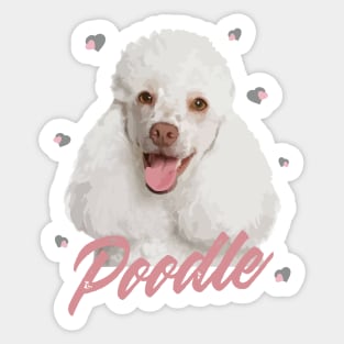 Beautiful White Standard Poodle! Especially for Poodle Lovers! Sticker